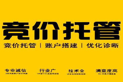 百度优化推广案例：打造高转化率网站